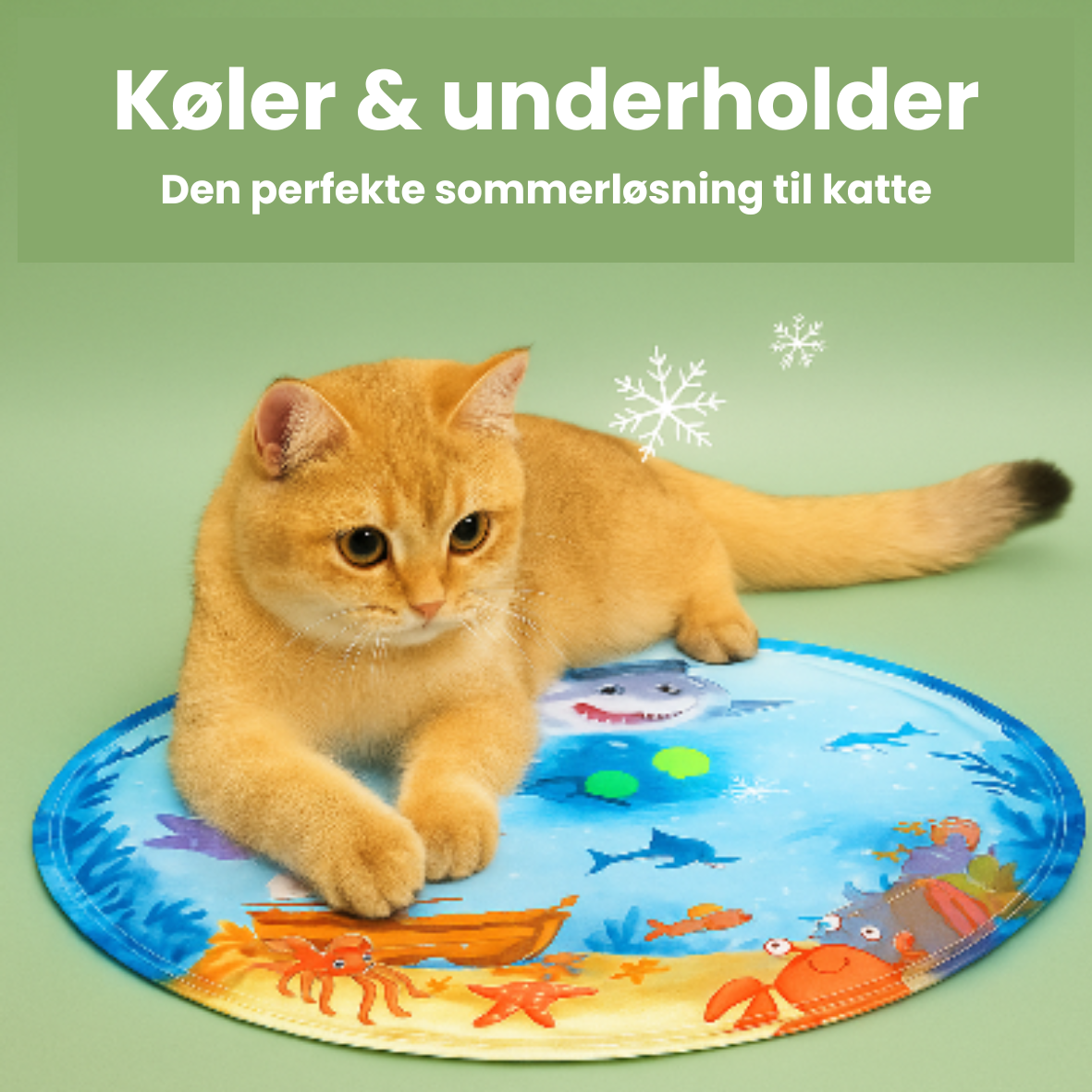 Kattelegetøj & Kølende vandmåtte