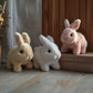 🐇 Mit realistiske kanin-legetøj